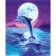 Paint by number VAm-2142 "Dolphins in the moonlight", 30x40 cm