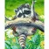 Paint by number VAm-2600 "Raccoon on a branch", 30x40 cm