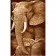 Картина за номерами Strateg ПРЕМІУМ Слоненя з мамою розміром 50х25 см (WW034)