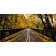 Painting by numbers Strateg PREMIUM Autumn road Strateg, 50x25 cm (WW046)