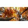Painting by numbers Strateg PREMIUM Gold of trees Strateg, 50x25 cm (WW060)