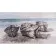 Картина по номерам Strateg Лодки на берегу моря размером 50х25 см (WW183)