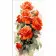 Картина по номерам Strateg Трепетные розы размером 50х25 см (WW215)