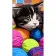 Painting by numbers Strateg Soft balls with a kitten, 50x25 cm (WW224)