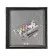 Painting by numbers Strateg PREMIUM Milkweed on a black background with varnish size 40x40 cm (AV4040-89)