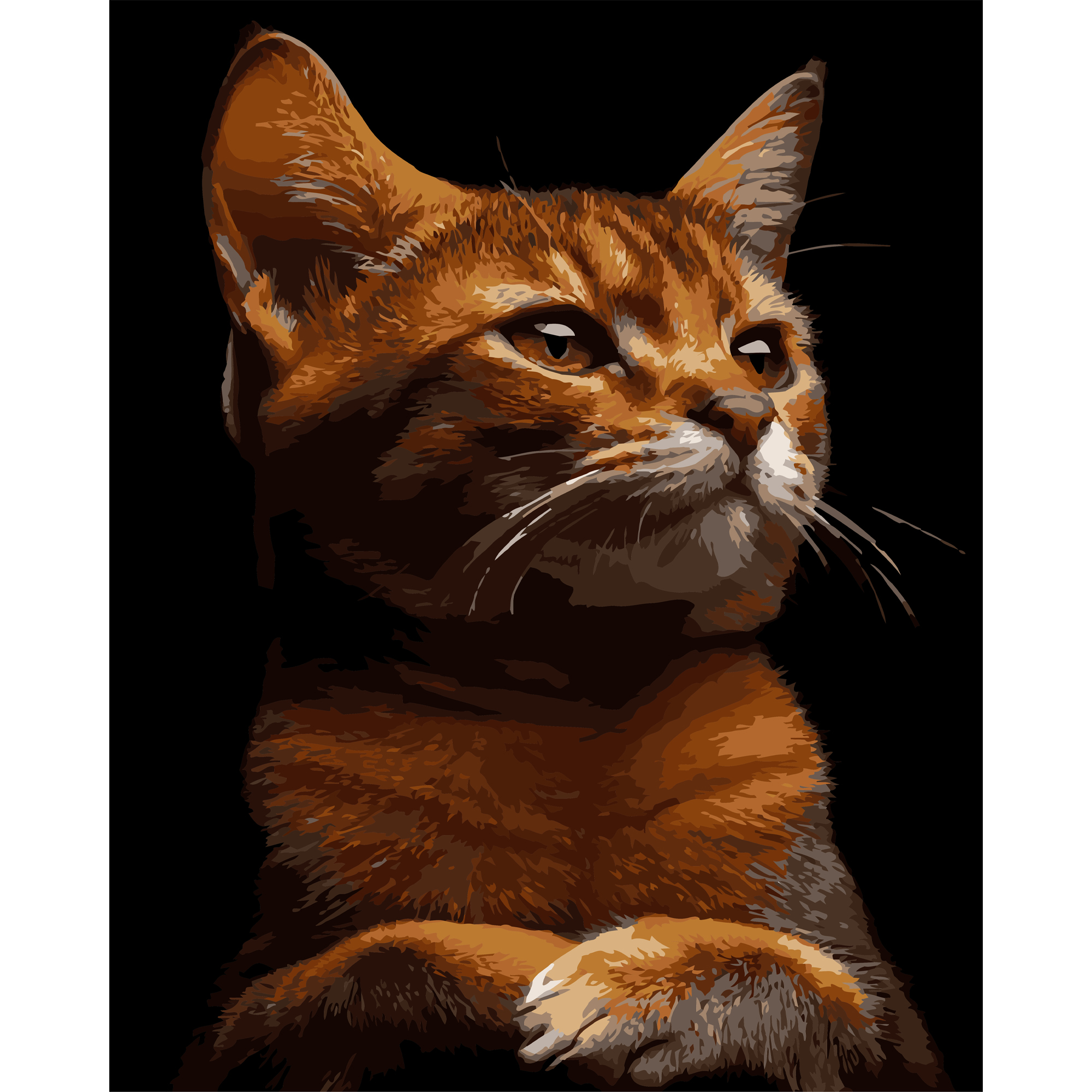 Рудий характер на чорному фоні 40Х50 (AH1244)