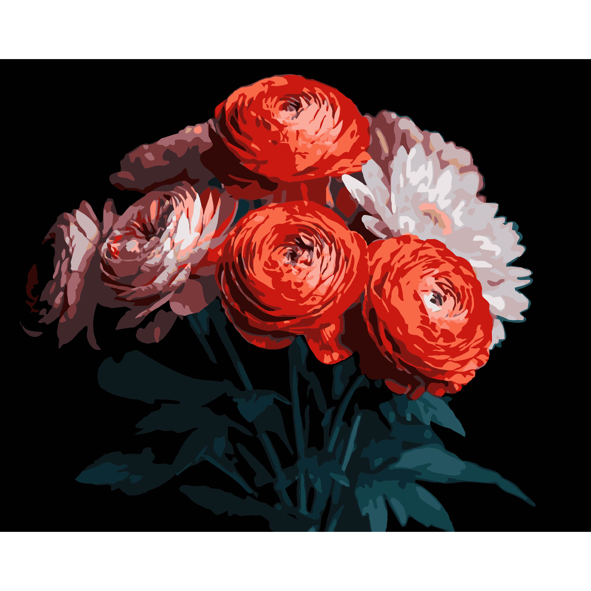 Red ranunculus on a black background 40Х50 (AH1250)