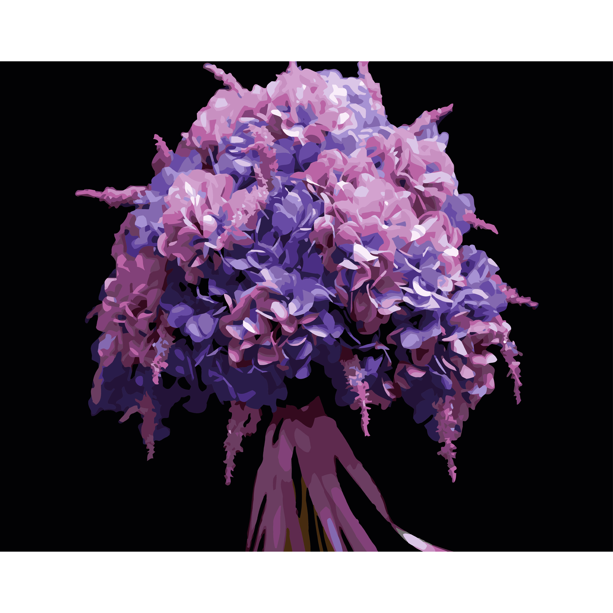 Pink wisteria on a black background 40Х50 (AH1253)