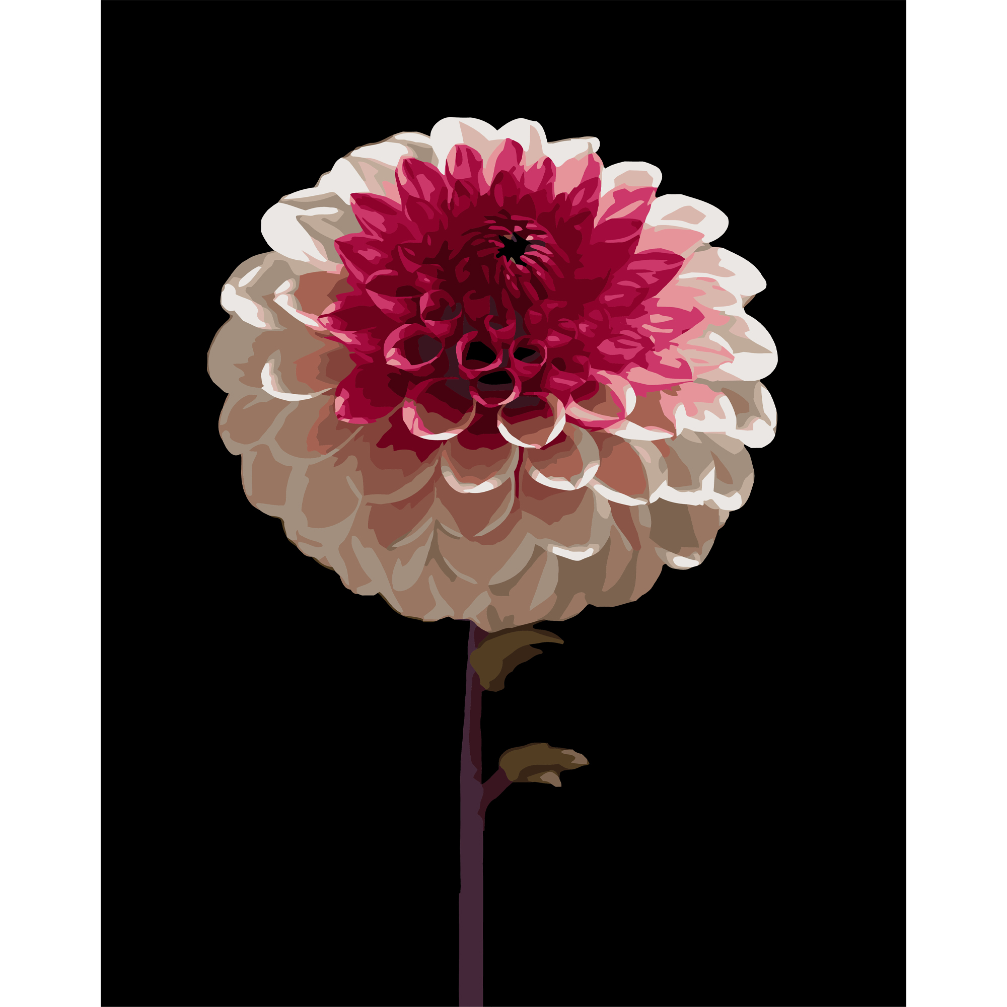 White and pink flower on a black background 40Х50 (AH1266)