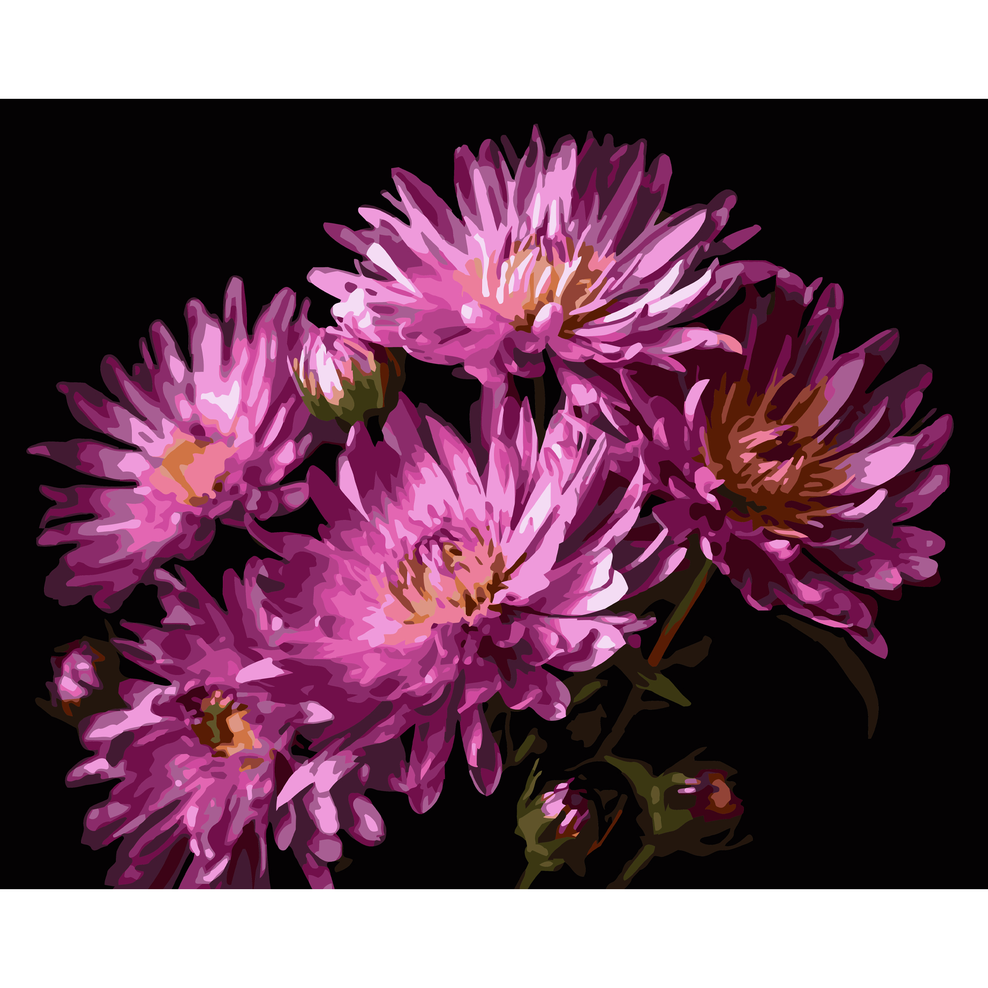 Velvet dahlia on a black background 40Х50 (AH1267)