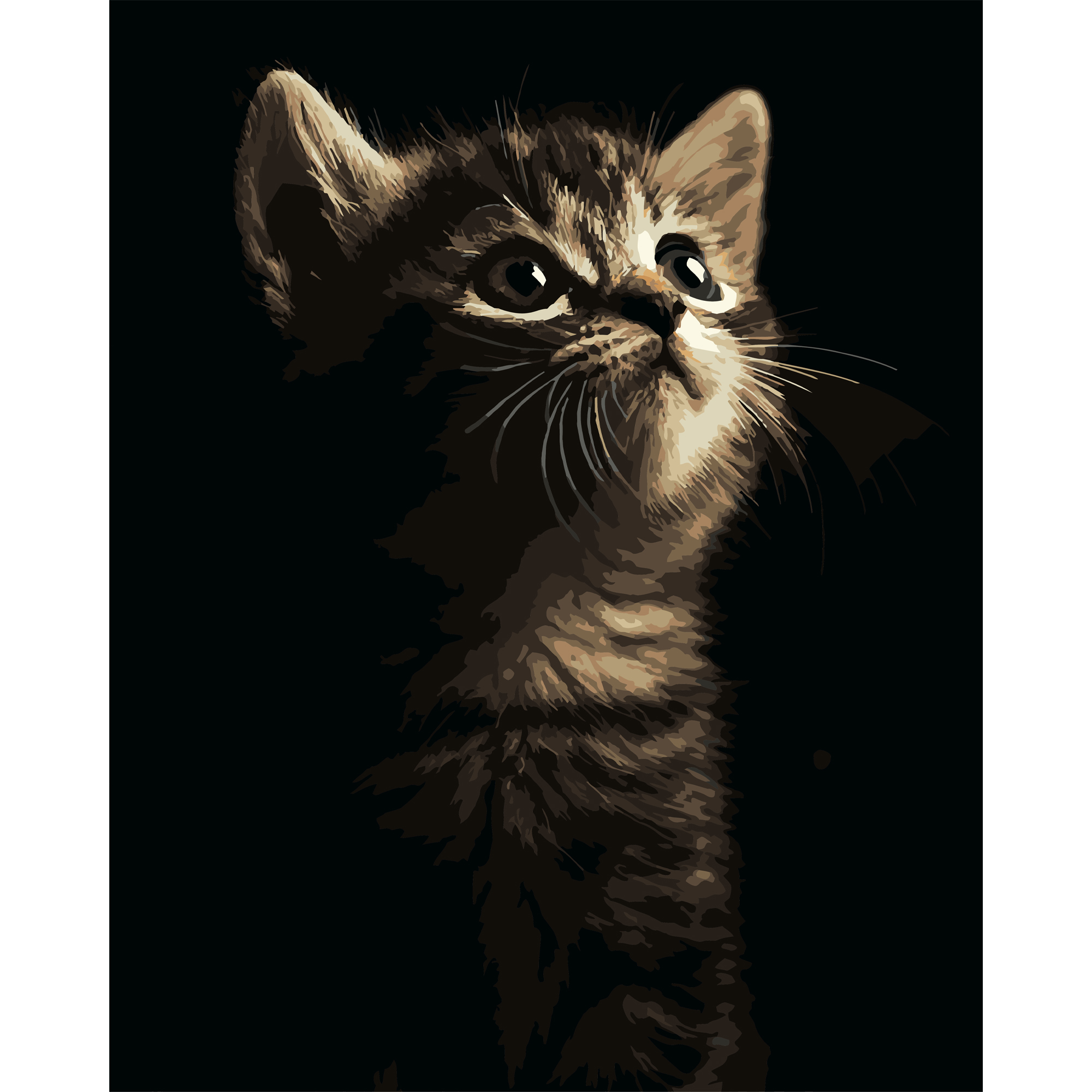 Little kitten on a black background 40Х50 (AH1276)