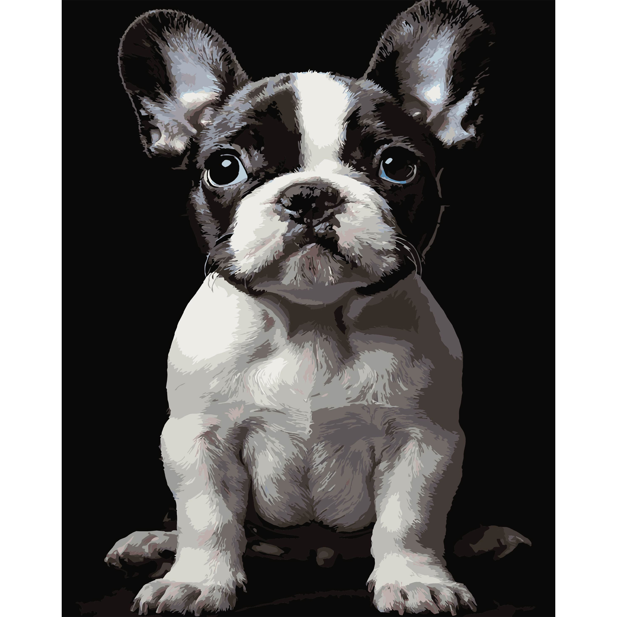 Маленький пес на чорному фоні 40Х50 (AH1277)