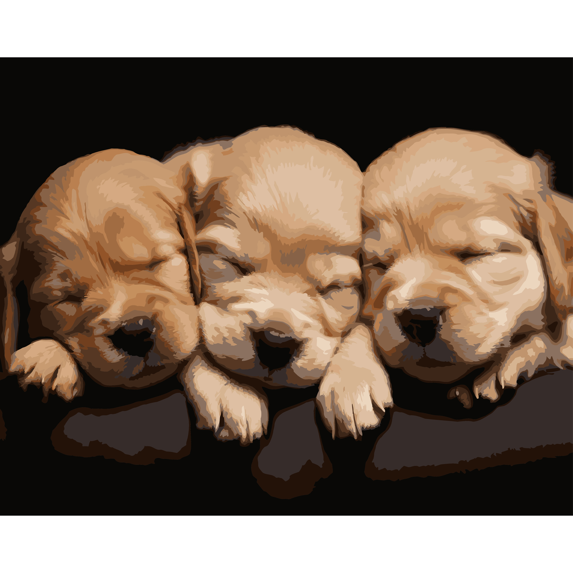 Sleeping dogs on a black background 40Х50 (AH1283)