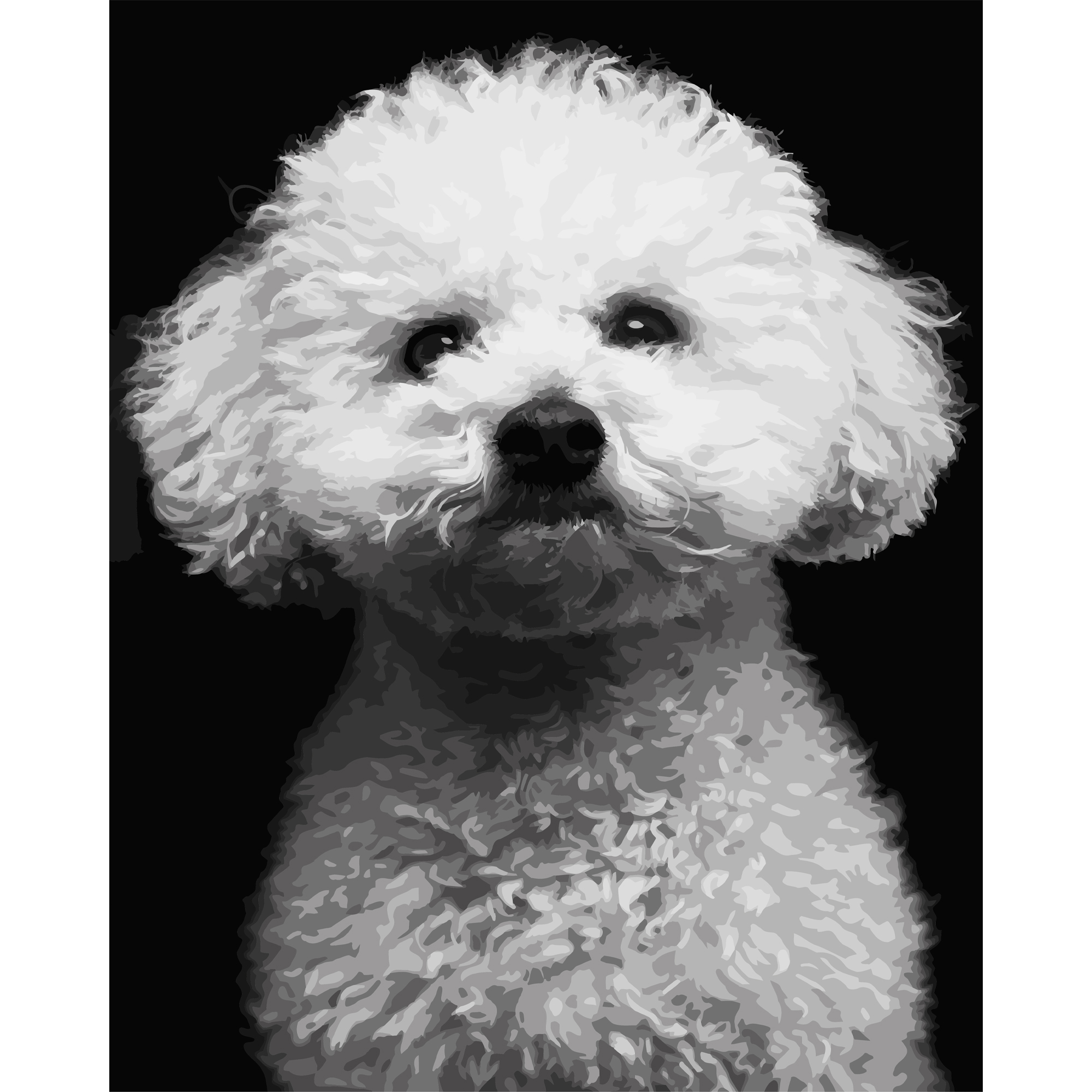 White Poodle on a black background 40Х50 (AH1287)