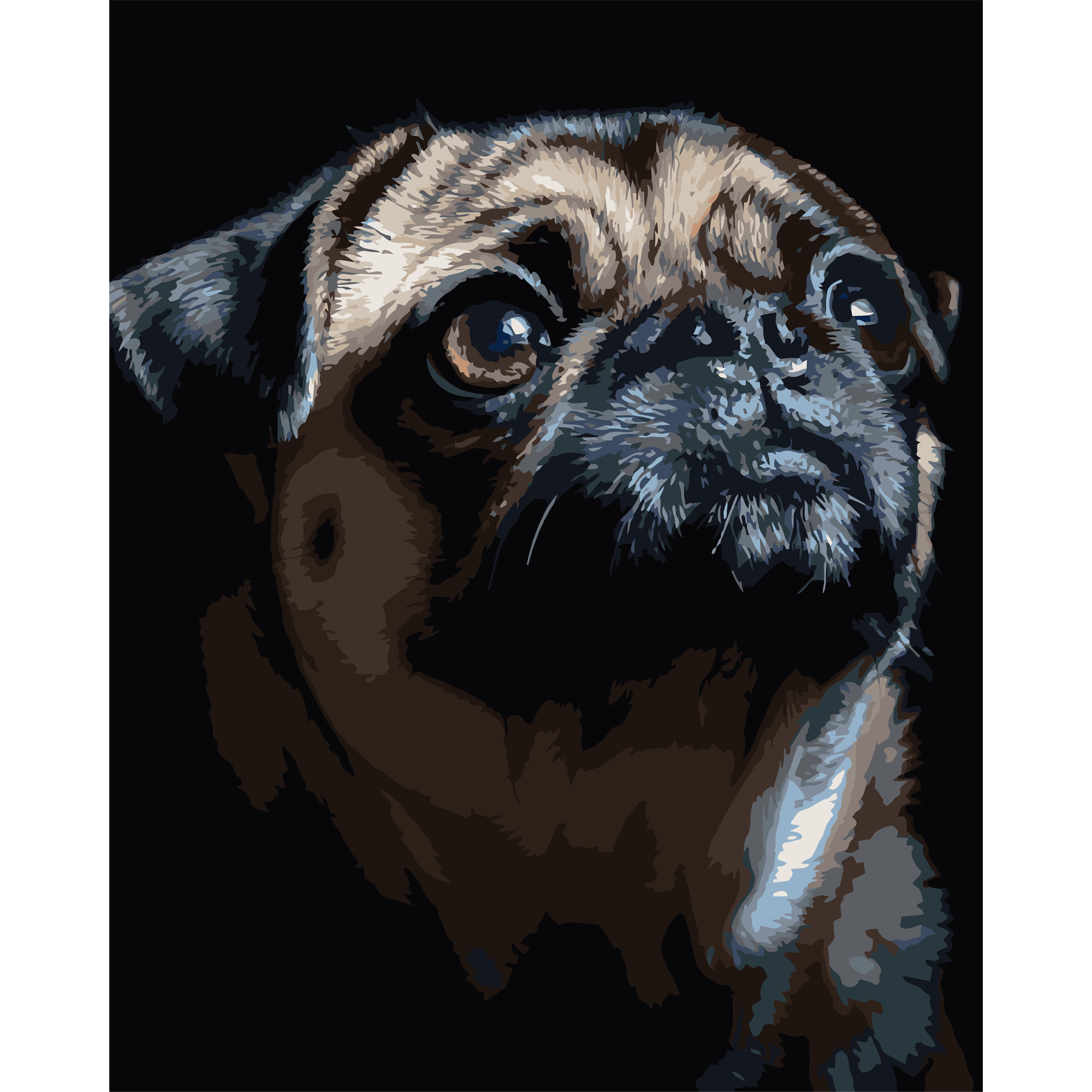 Портрет мопса на черном фоне 40Х50 (AH1290)