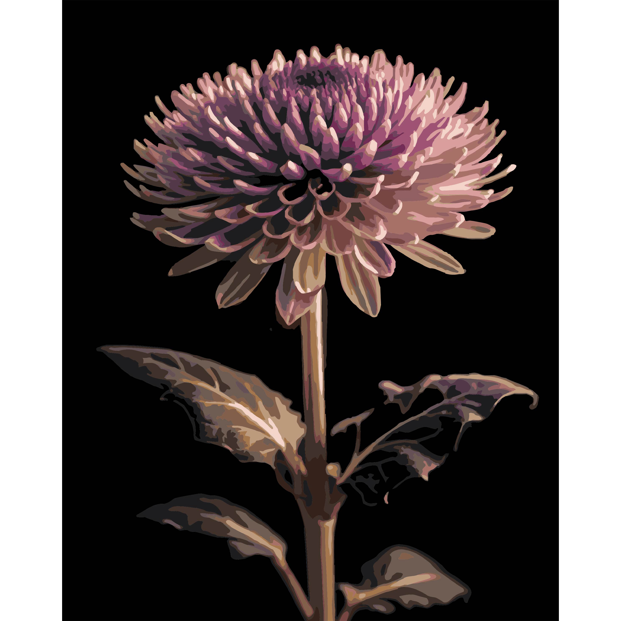 Георгина на чорному фоні 40Х50 (AH1291)