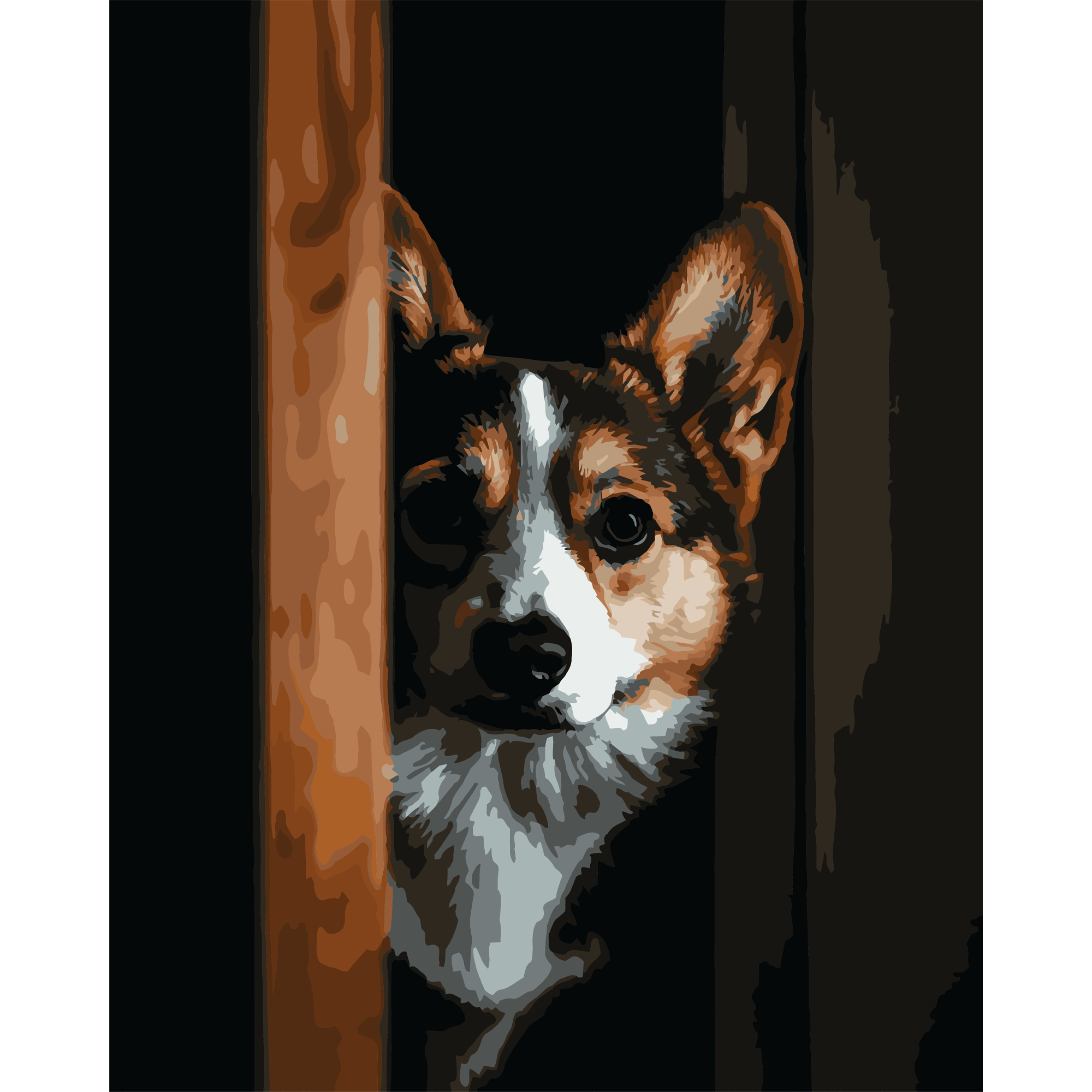 Corgi on a black background 40Х50 (AH1294)