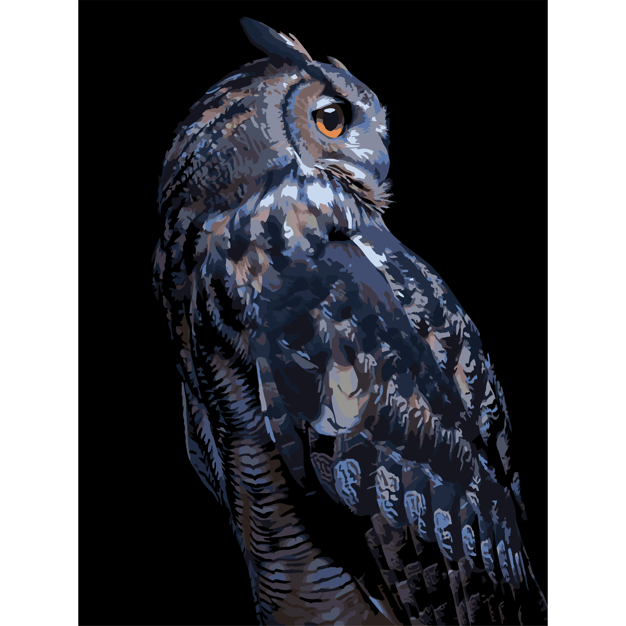 Night owl on a black background 30Х40 (FH-24)