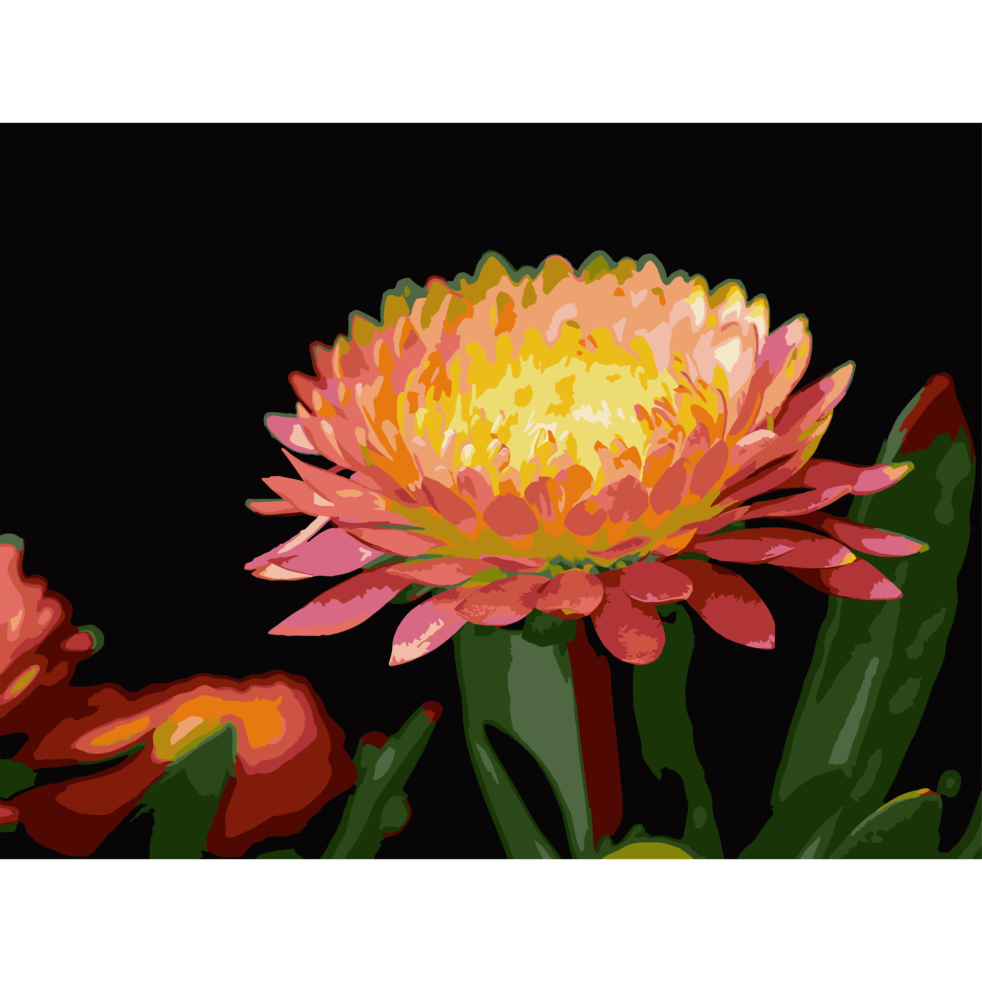 Gerbera flower on a black background 30Х40 (FH-28)