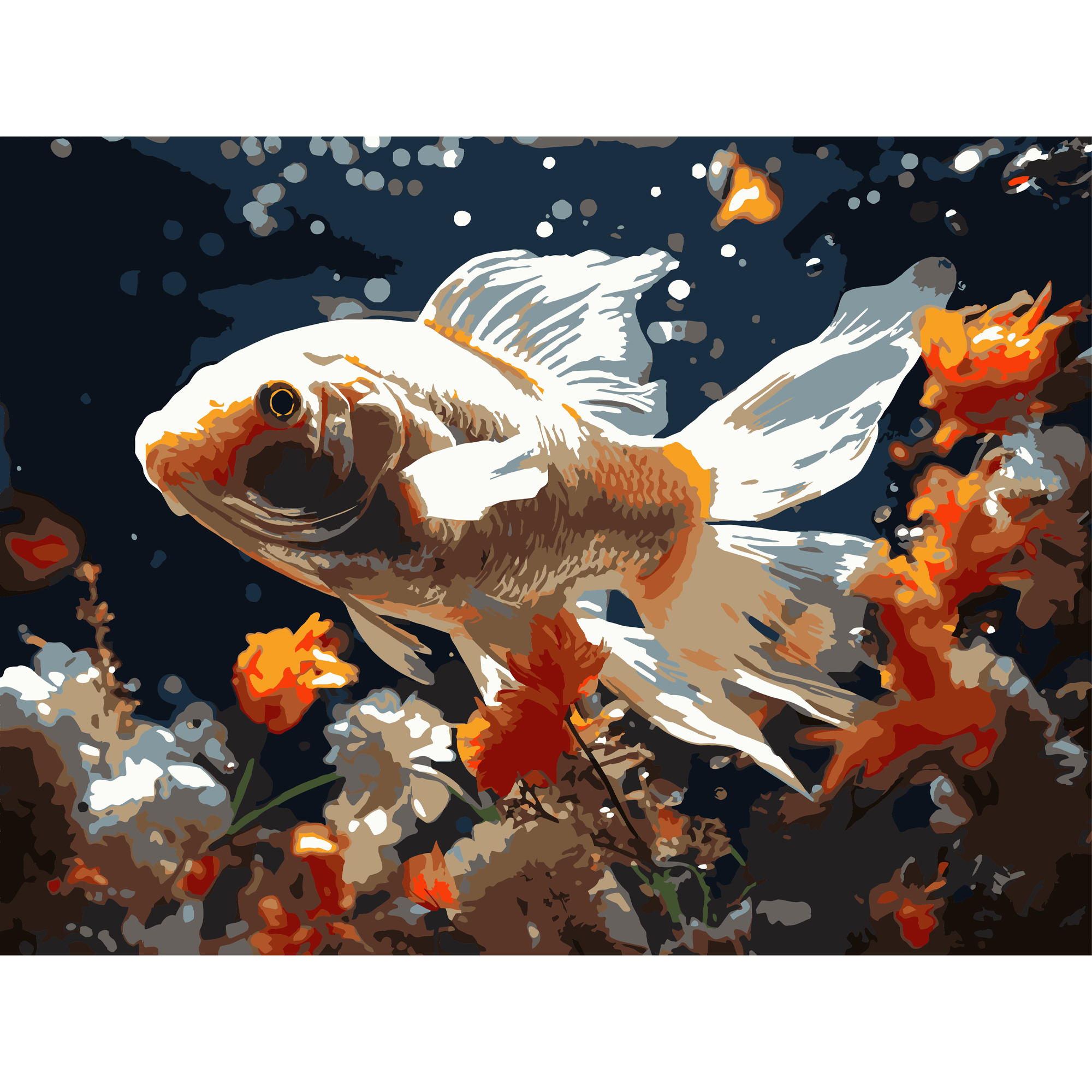 Goldfish on a black background 30Х40 (FH-30)
