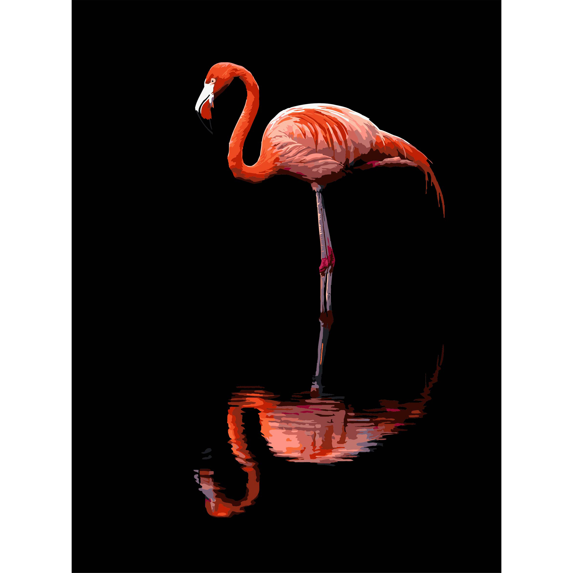 Flamingo on a black background 30Х40 (FH-36)