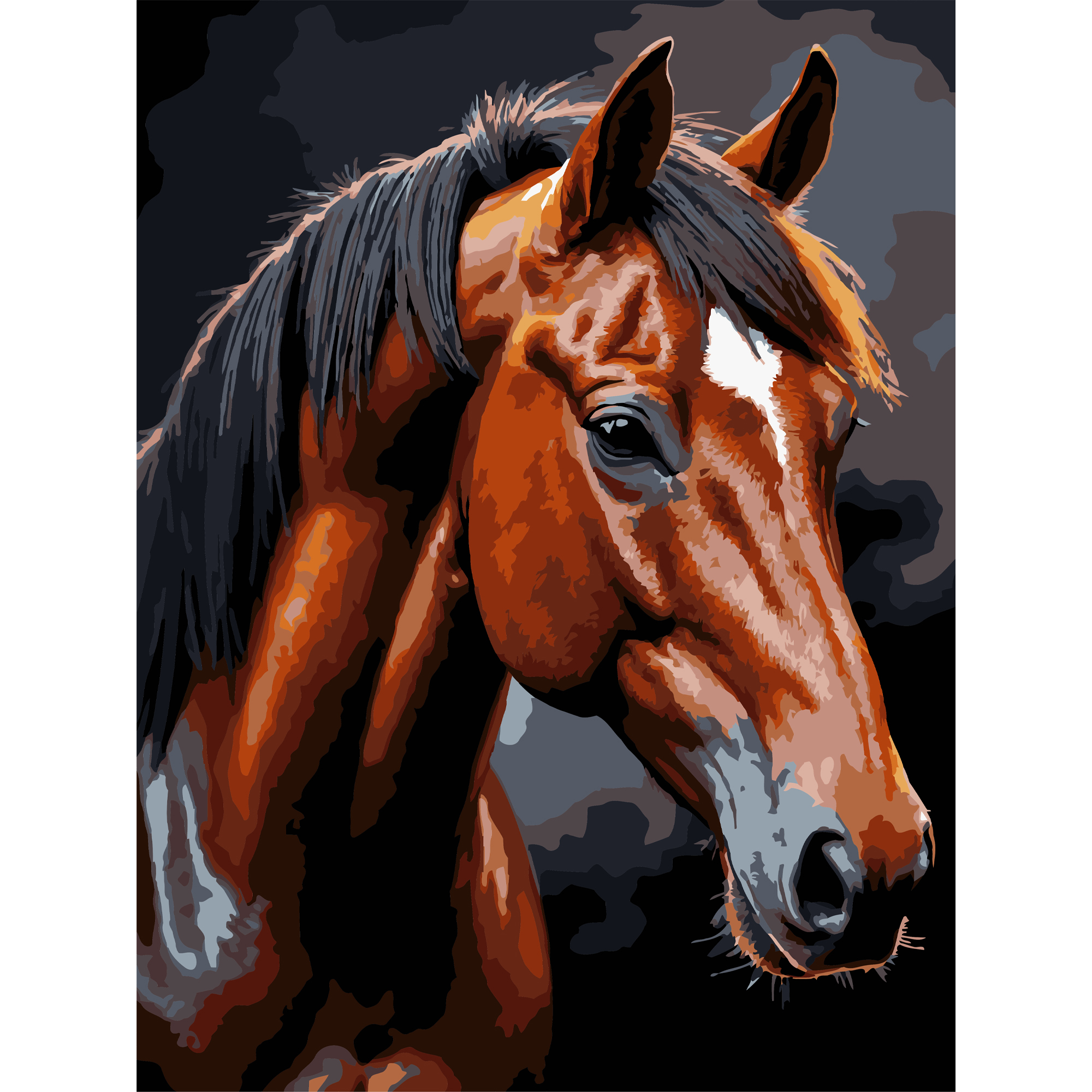 Brown horse on a black background 30Х40 (FH-39)