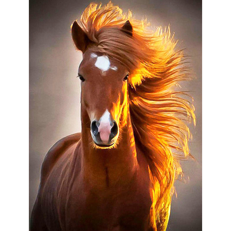 Playful horse without a subframe 40x50 cm (GC76124)