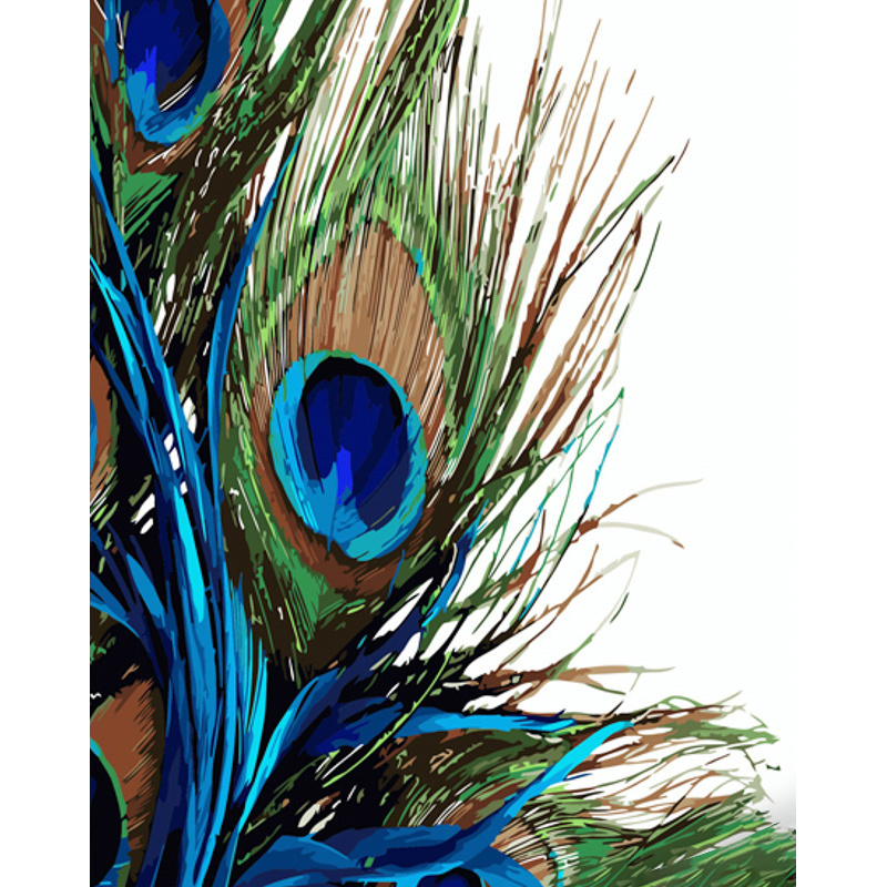 Peacock feathers with lacquer and a size of 40x50 cm (GS1361)