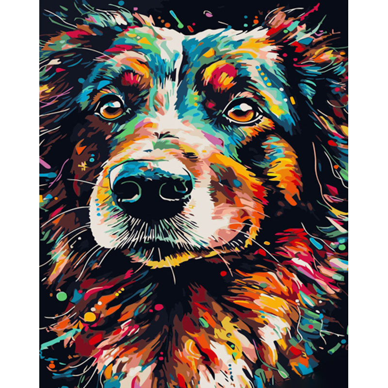 Pop art border coli with varnish and with an increase in size 40x50 cm (GS1520)