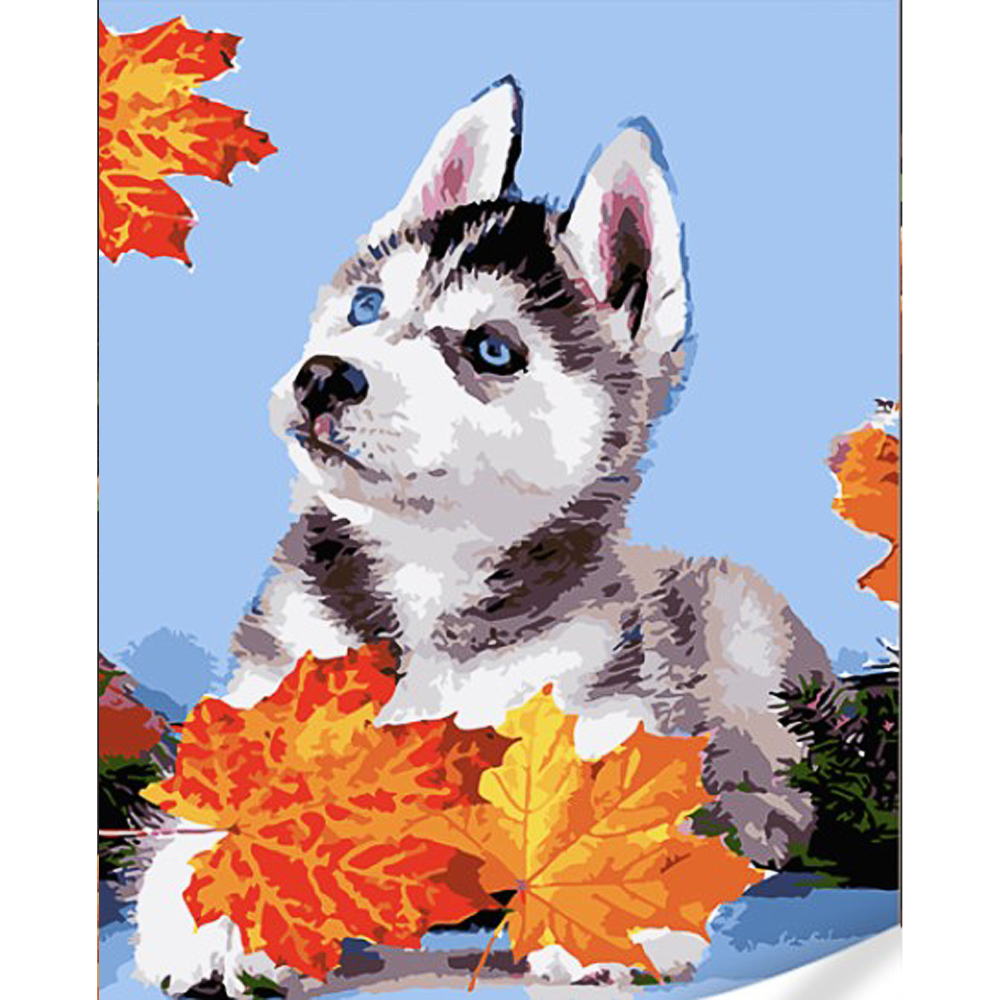 Husky in leaves on a colored background size 40x50 (GS1628)