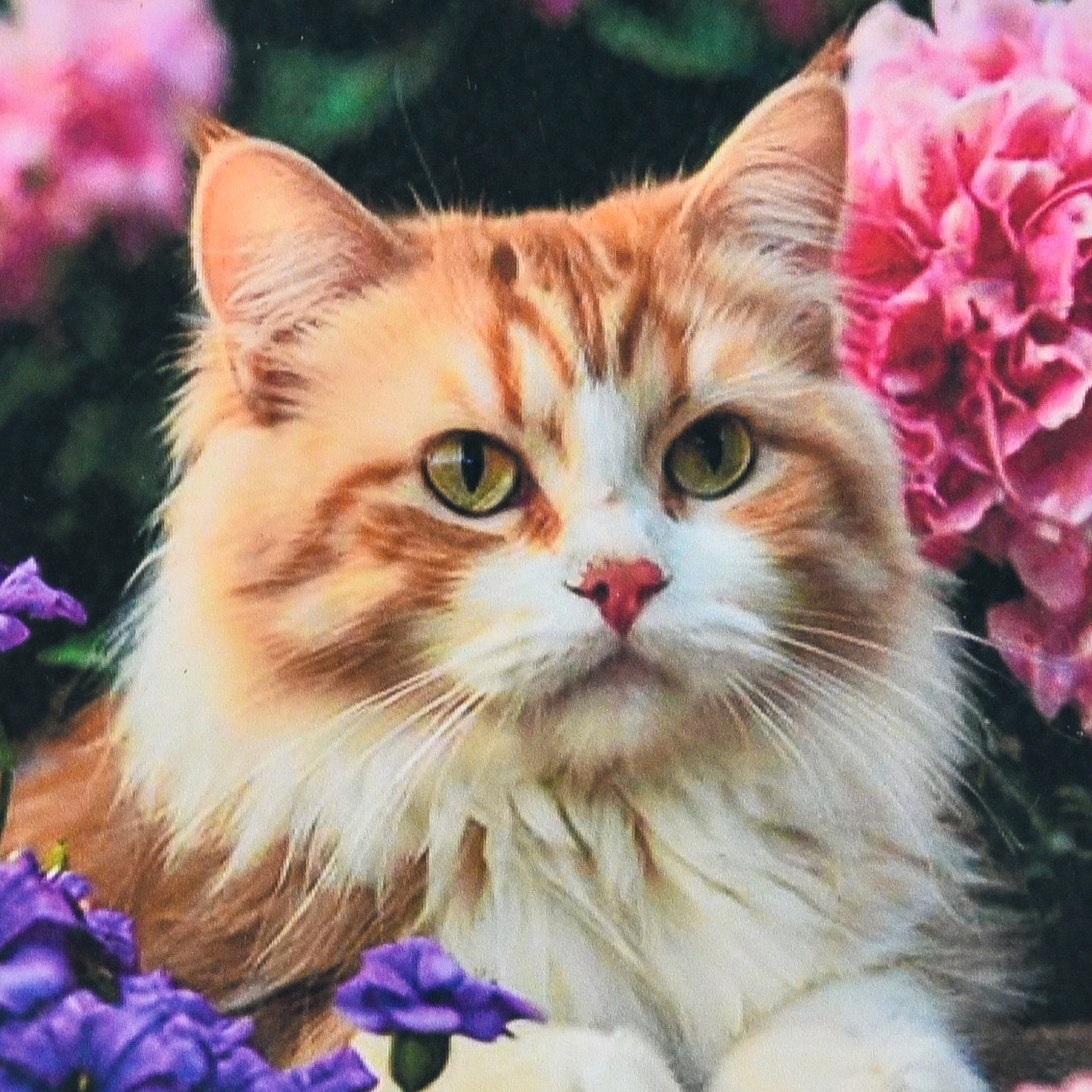 Cat in a flower paradise size 30x30 cm (HEE16334)