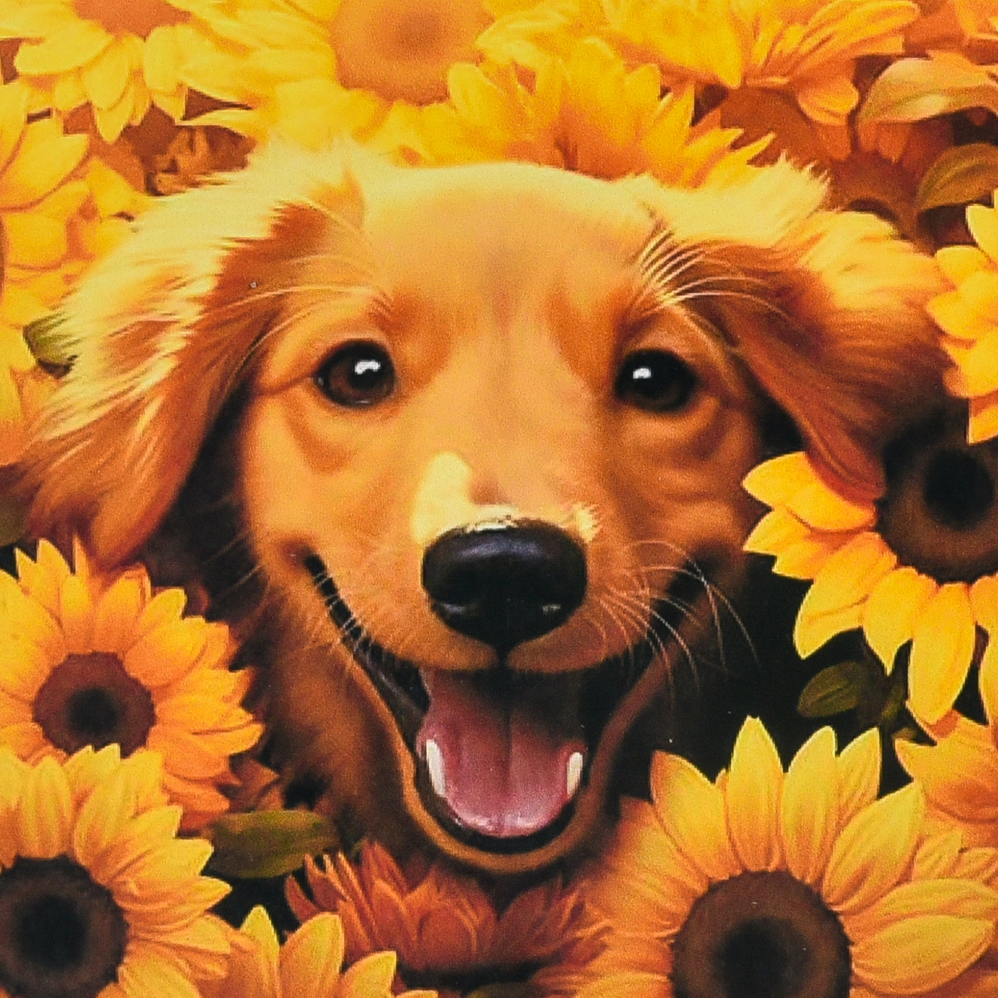 Dog in a dream size 30x30 cm (HEE16336)