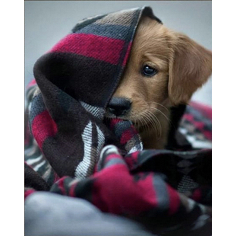 Dog under a blanket, 30x40 cm (HEG86037)