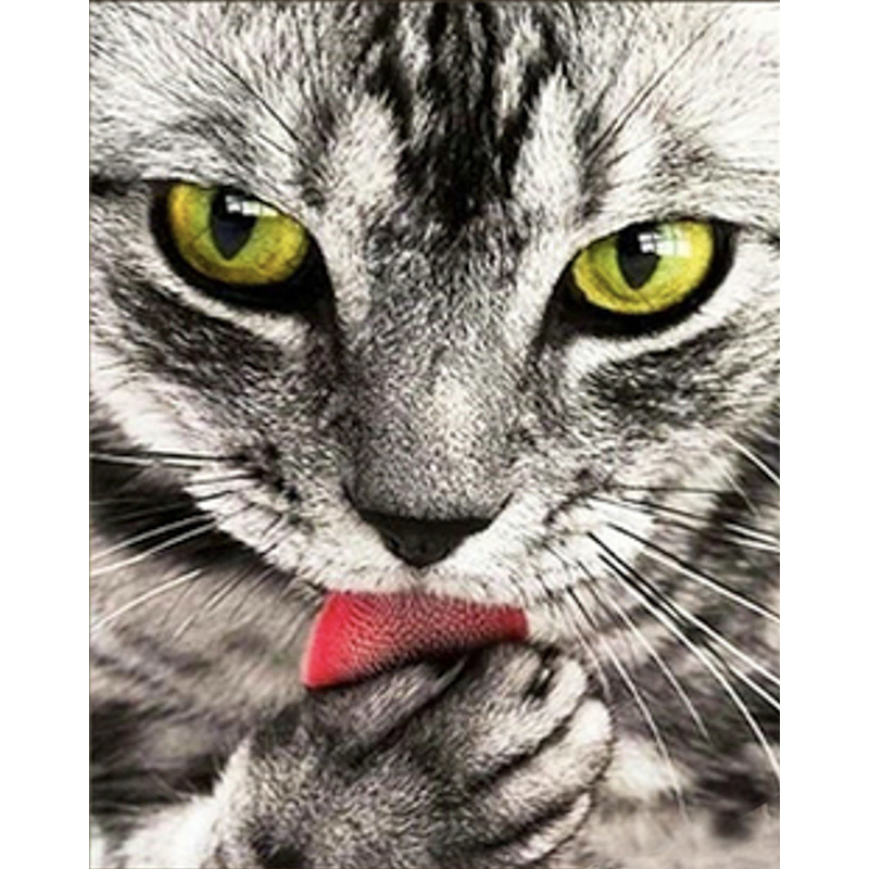 Gray cat 30x40 cm (HEG86038)