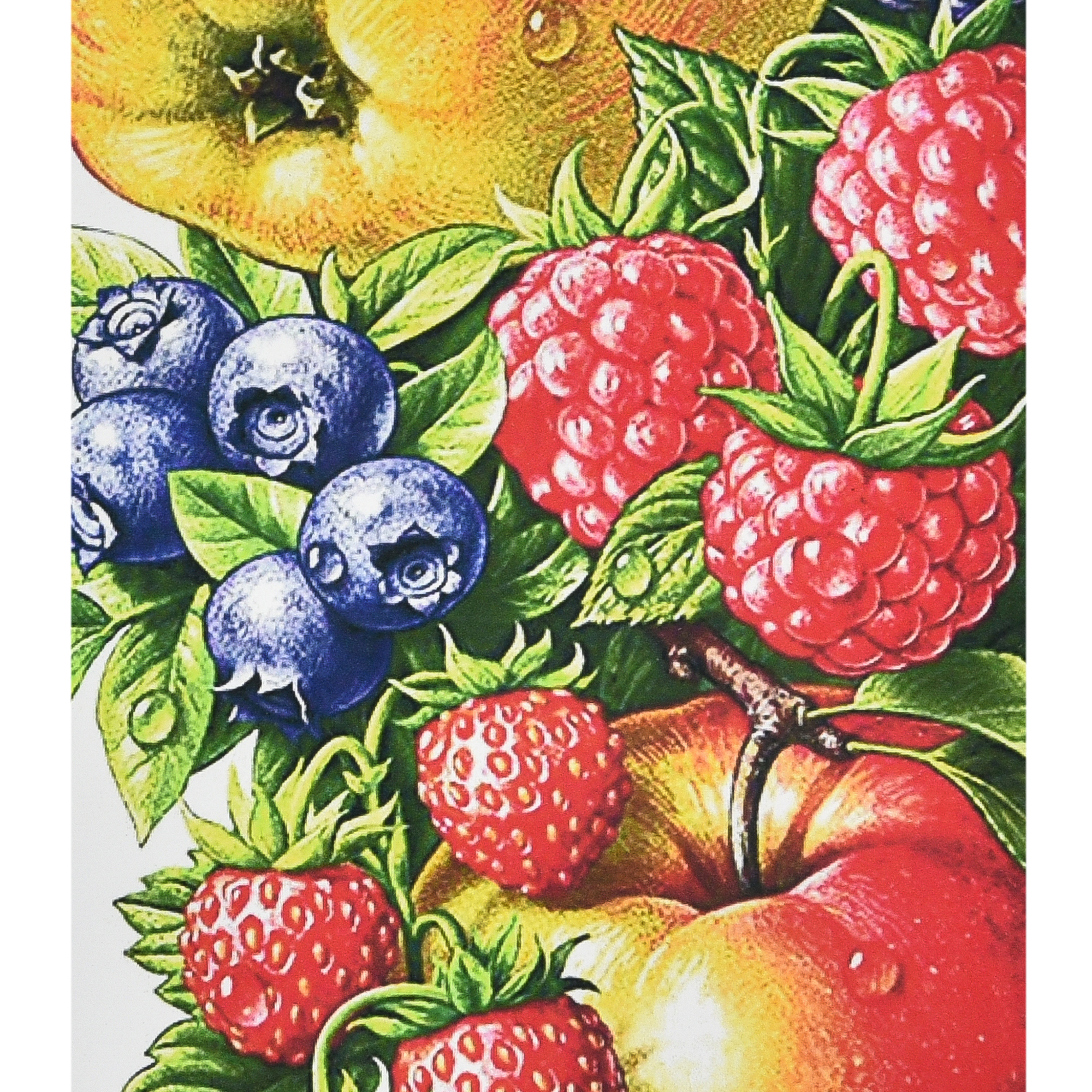 Сочные ягоды и фрукты размером 30х40 см (HEG86862)