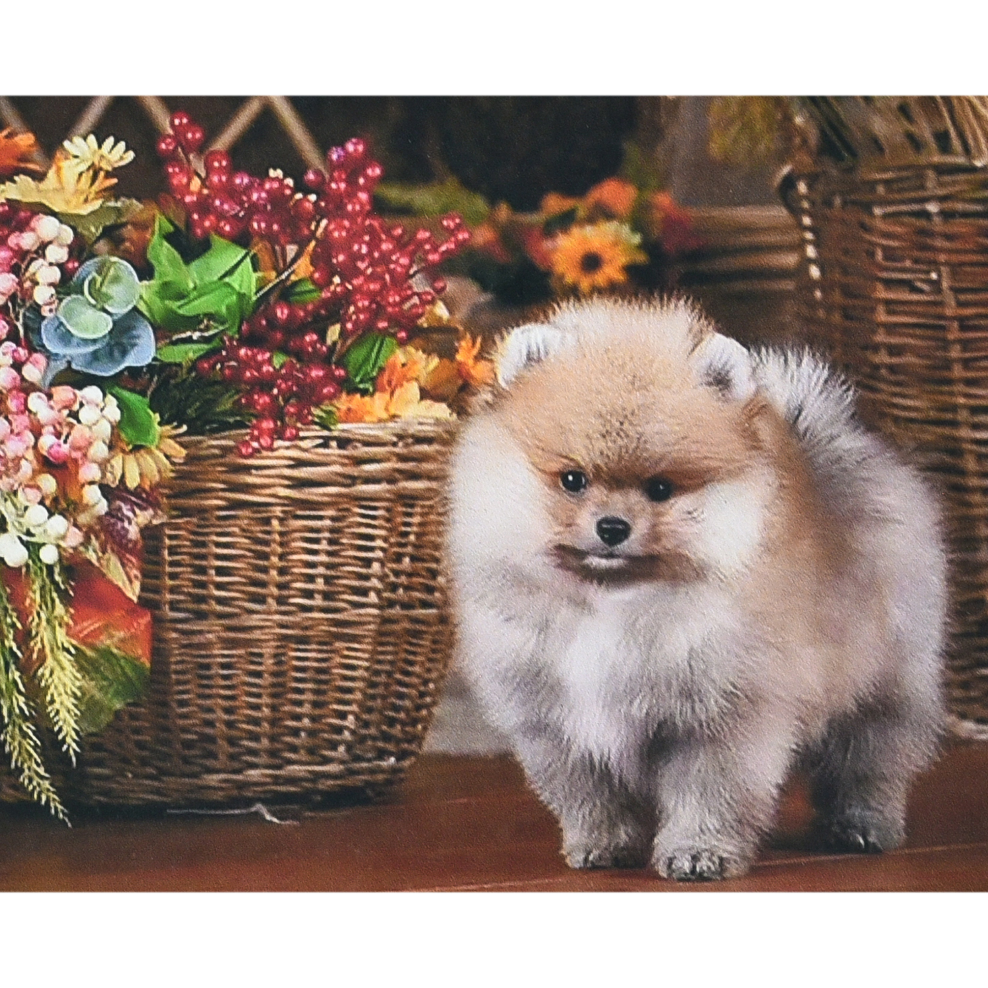 Doggy near the basket size 30x40 cm (HEG87073)