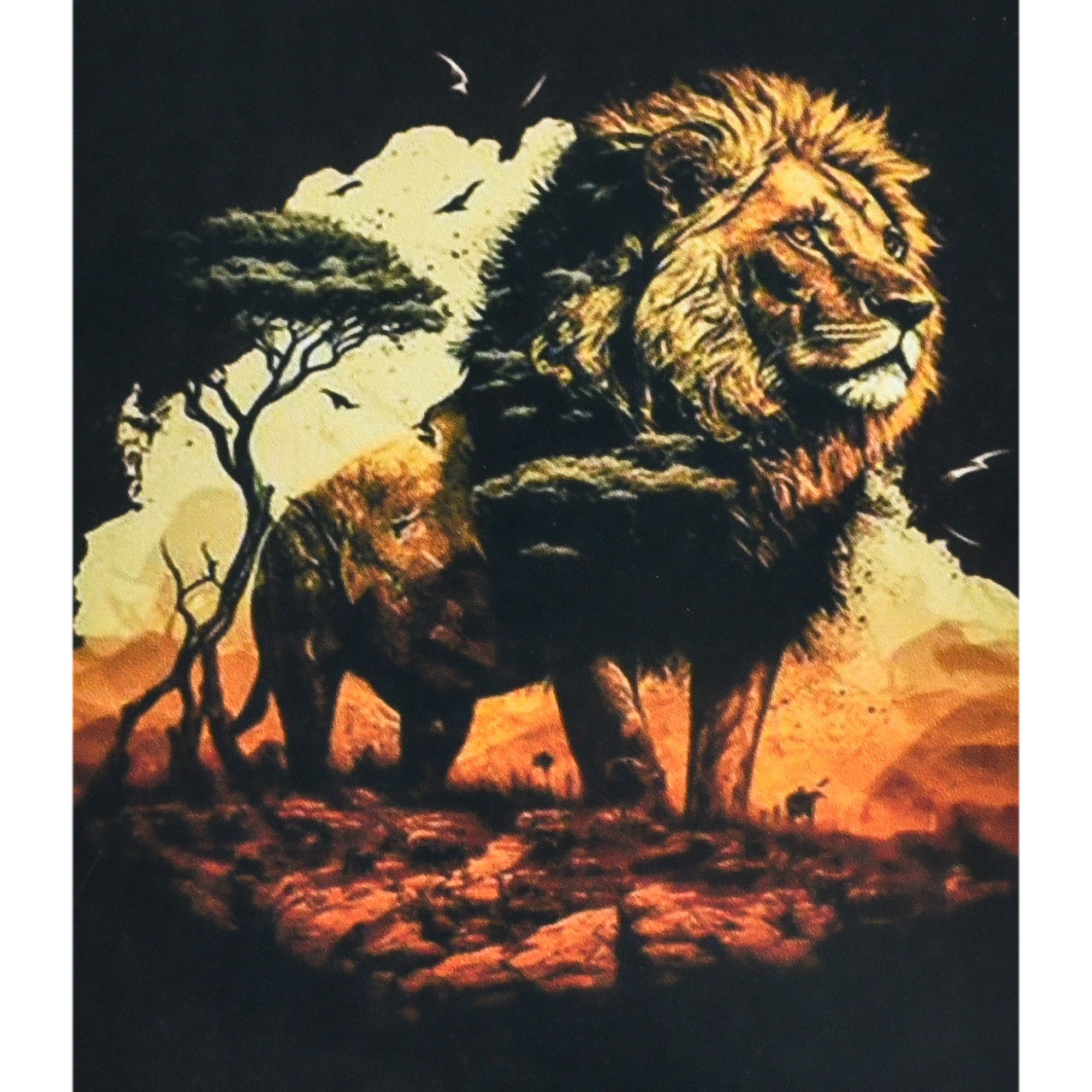 The Lion King size 30x40 cm (HEG88135)