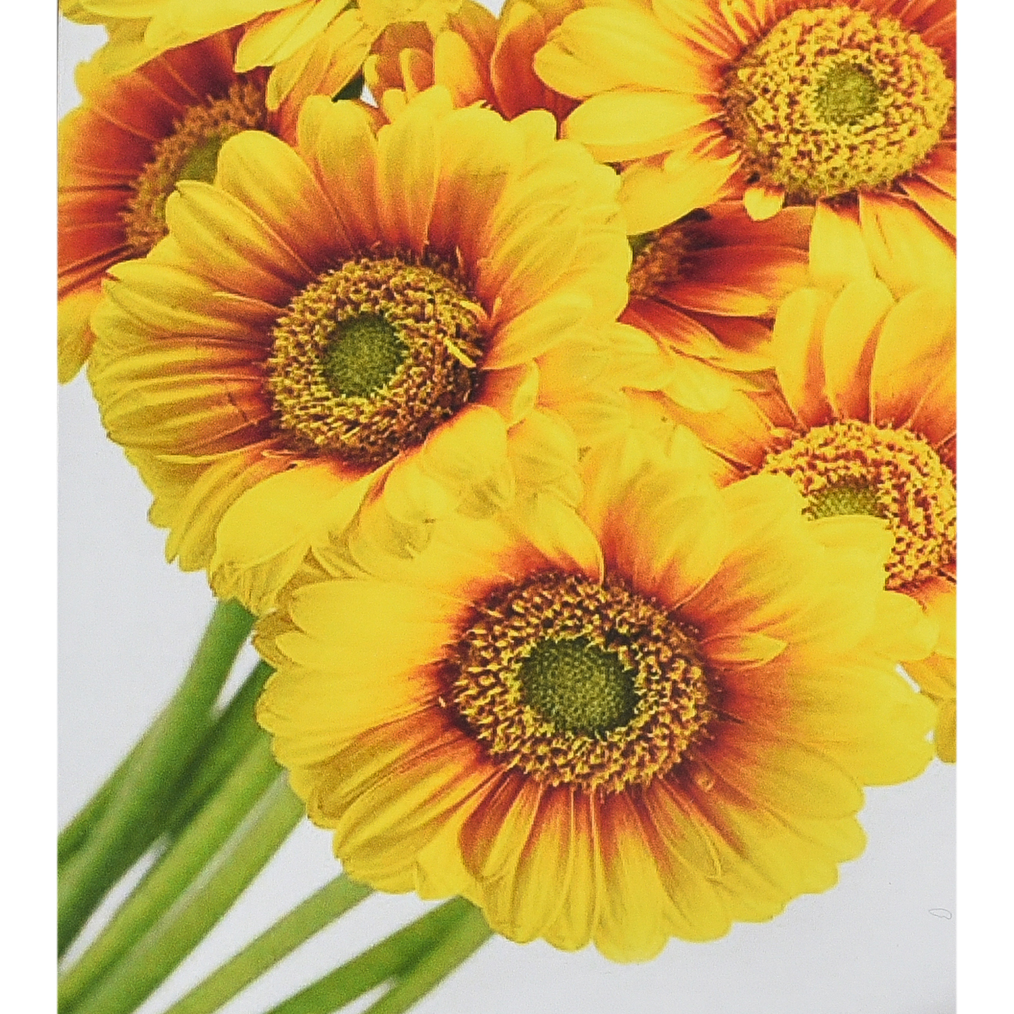Sun flowers size 30x40 cm (HEG88145)