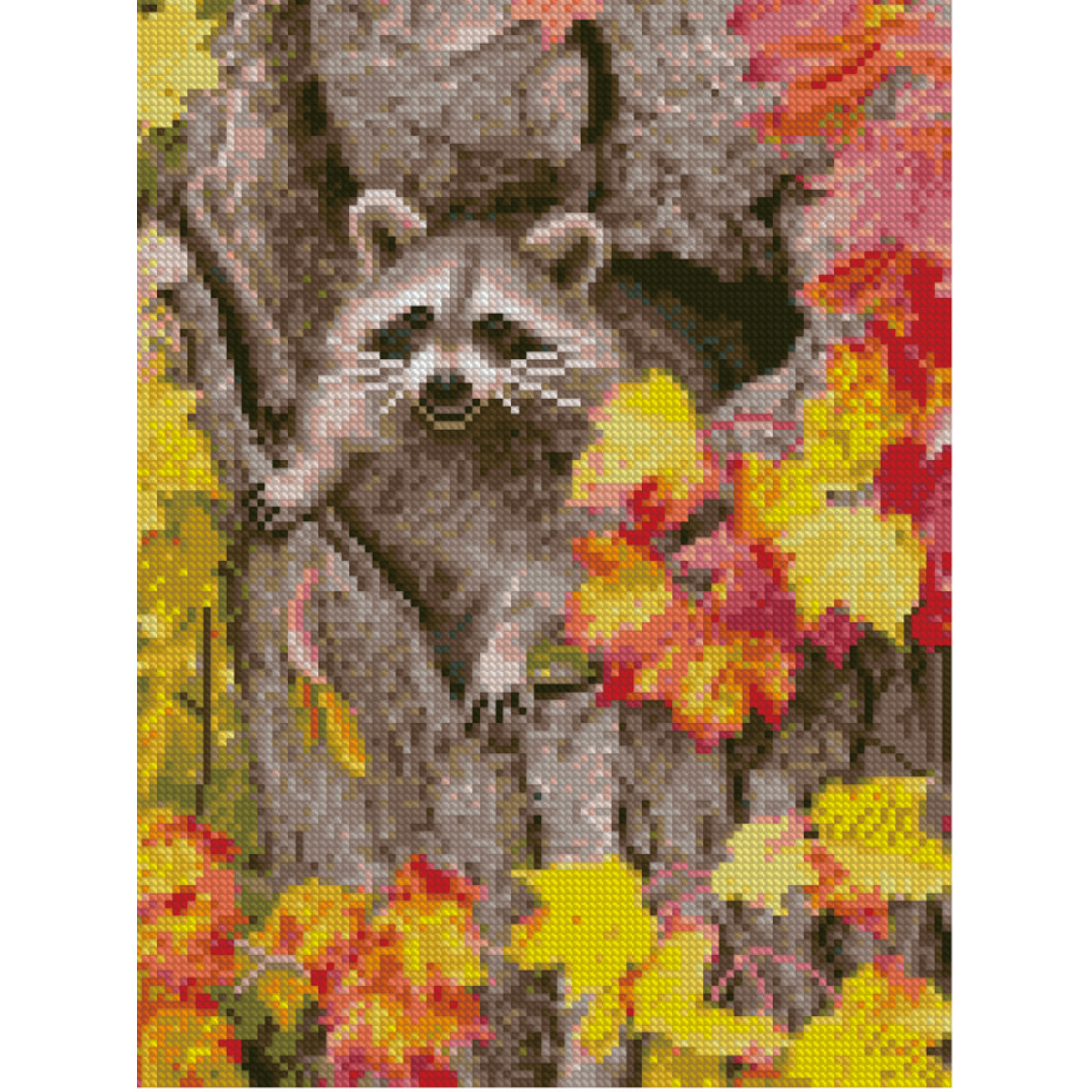 HX182 "Raccoon in autumn", 30x40 cm