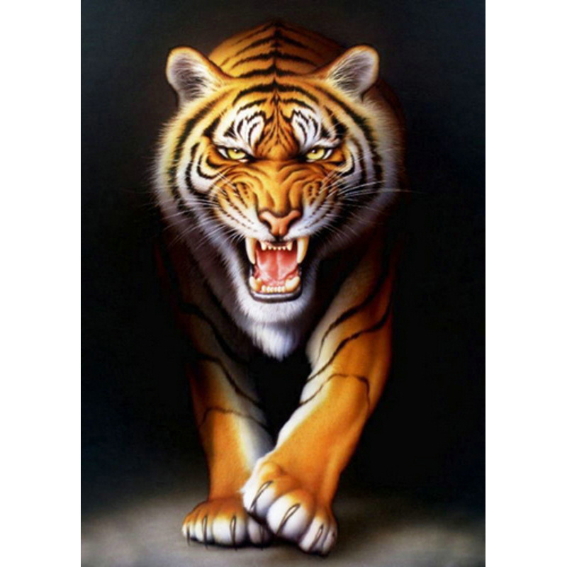 Tiger on a black background without a subframe 30x40 cm (JSDF70999)