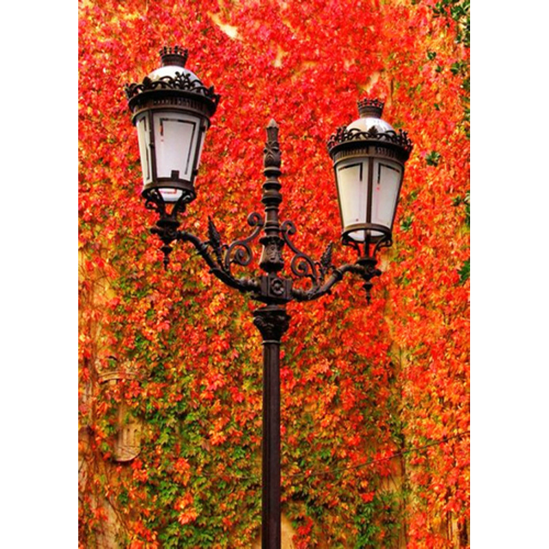 Autumn colors, without a subframe 30x40 cm (JSDF72470)