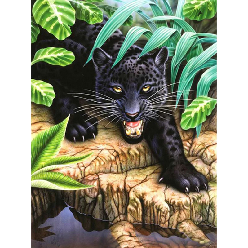 Black leopard without a subframe 30x40 cm (JSDF72776)