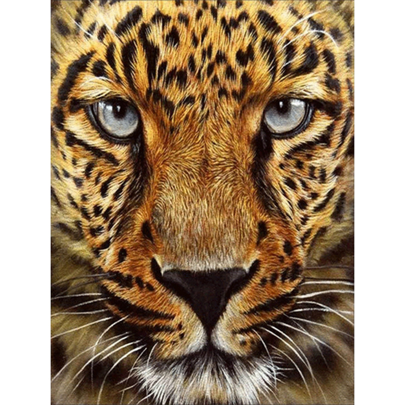 Cheetah, without a subframe 30x40 cm (JSDF79613)