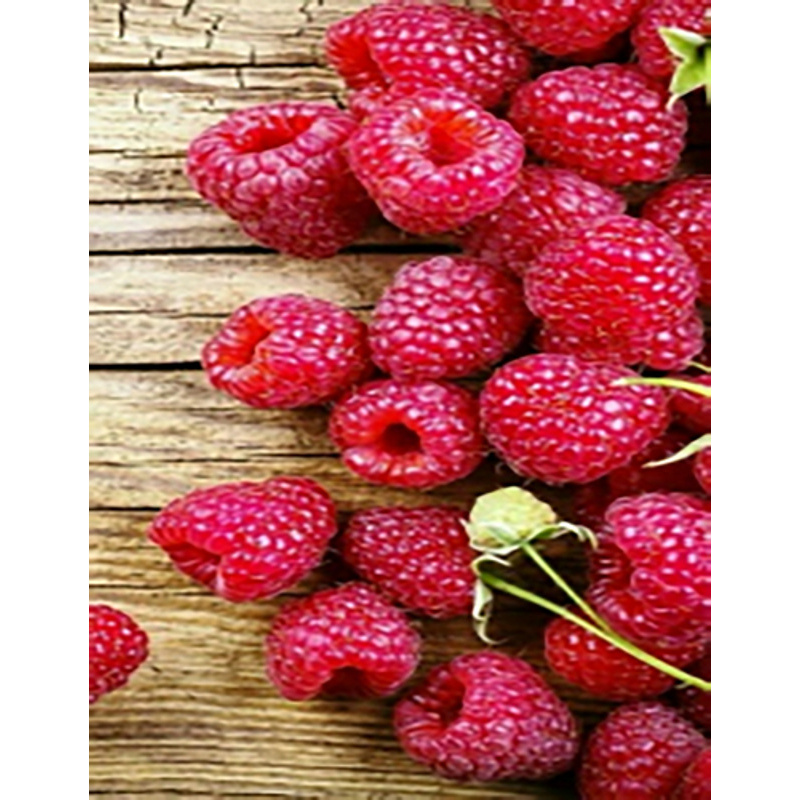 Diamond mosaic Juicy raspberries without a subframe 40x50 cm (JSFH85871)