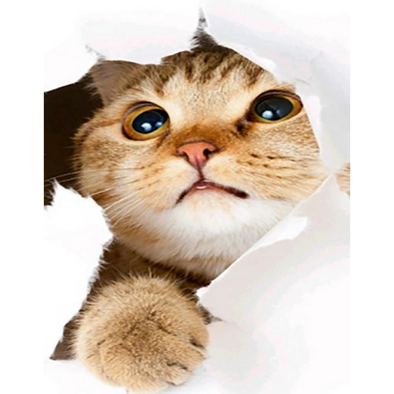 Diamond mosaic Curious cat without a subframe 40x50 cm (JSFH85891)