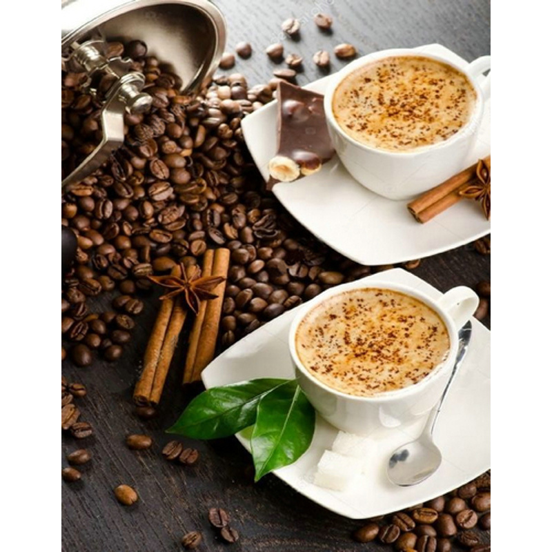 Diamond mosaic Meeting for coffee without a subframe 40x50 cm (JSFH85901)