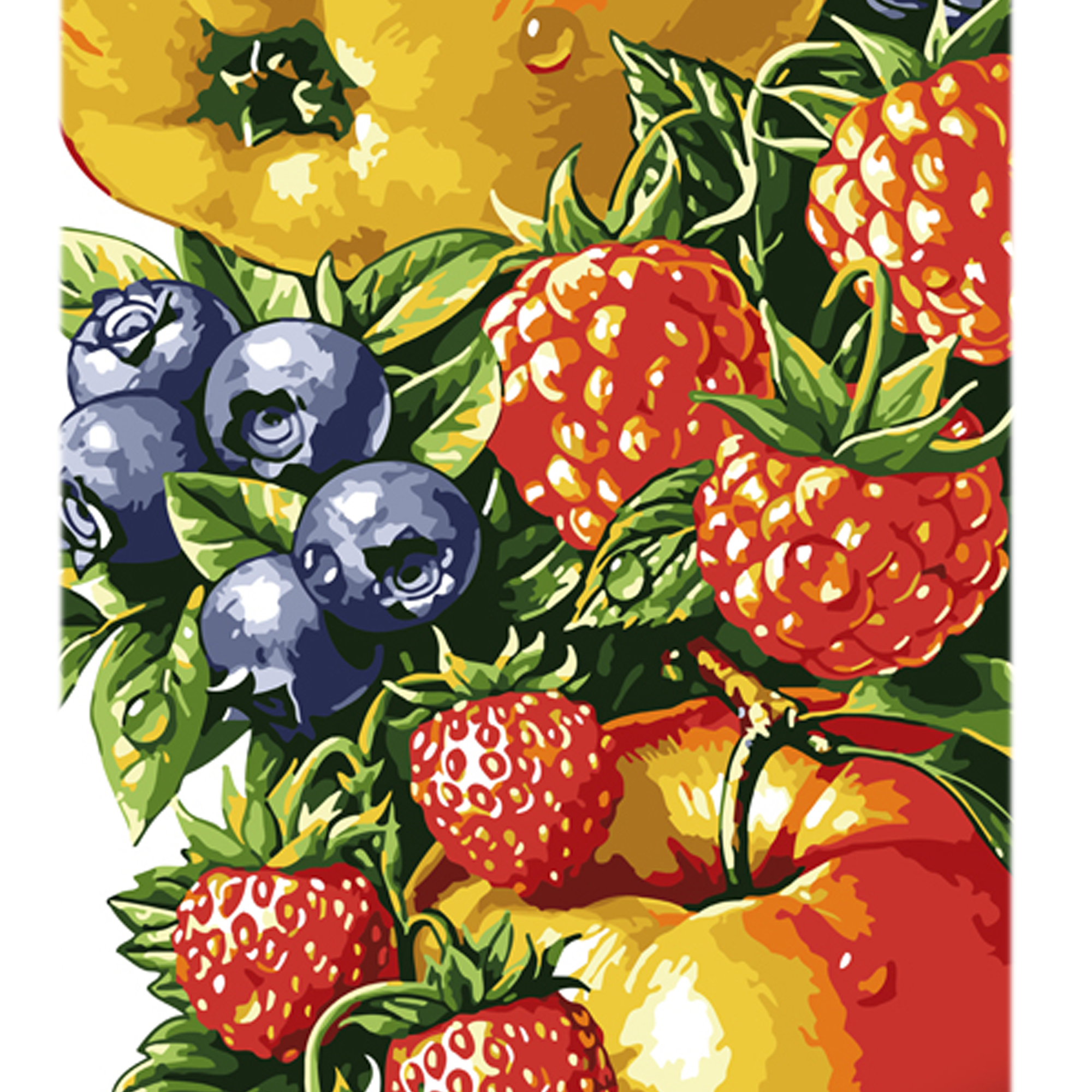 Juicy berries and fruits with varnish and level 30x40 cm (LY66)