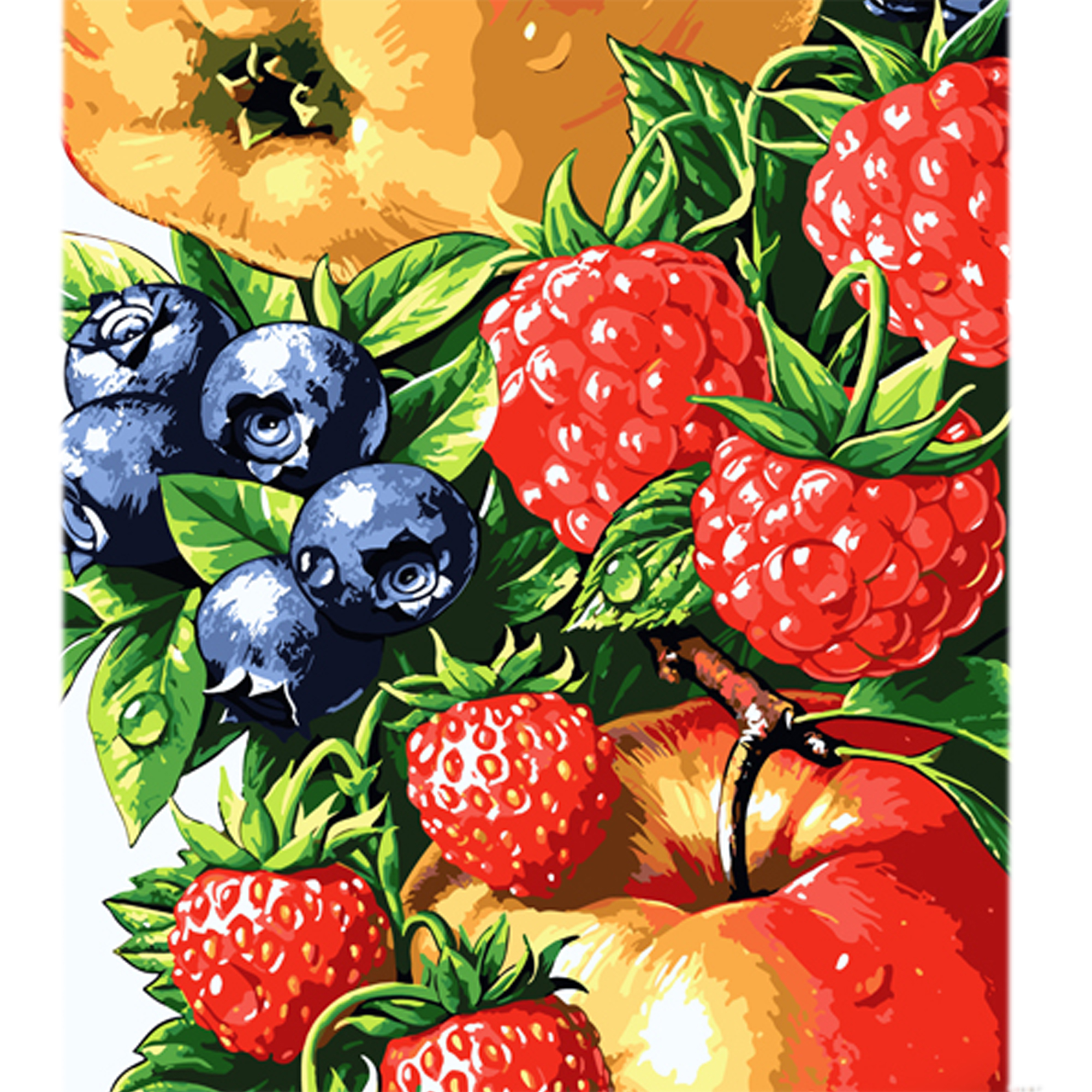Juicy berries and fruits on a colored background size 40x50 cm (MZ068)