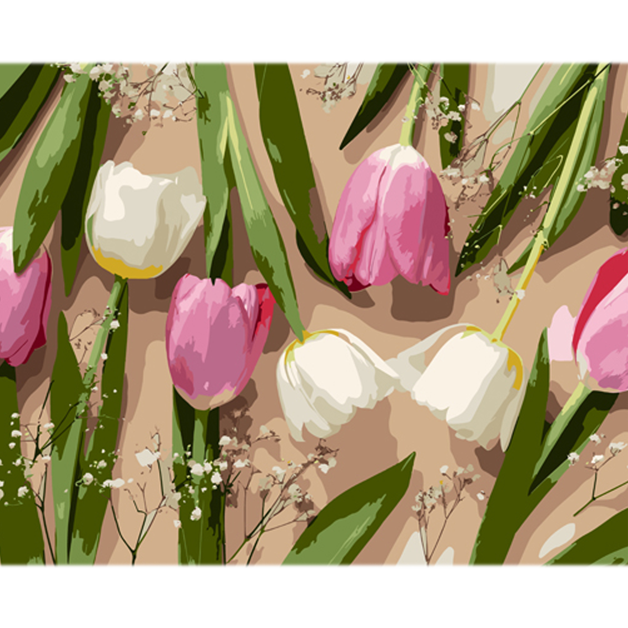 Tenderness of tulips on a colored background size 40x50 cm (MZ074)