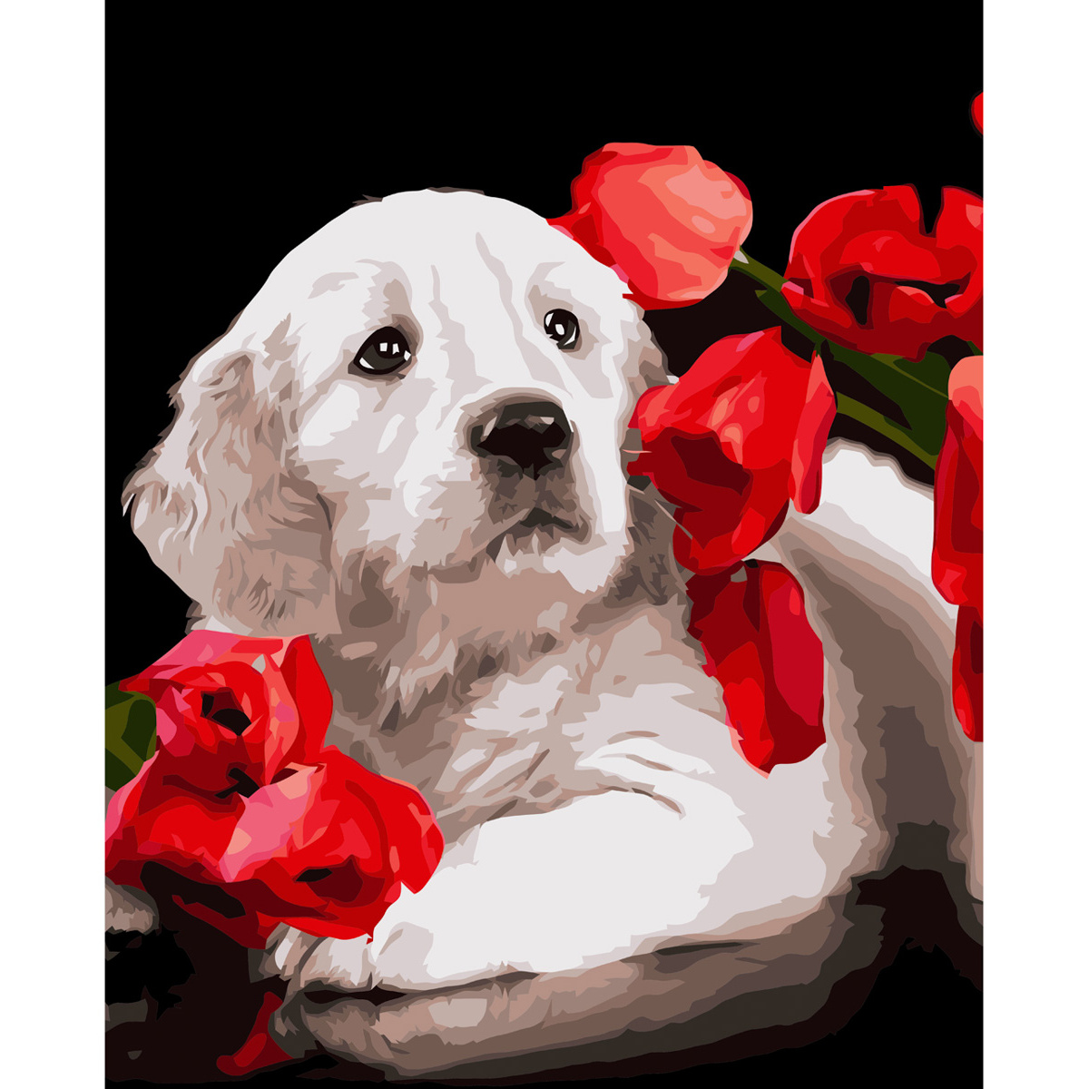 A dog in poppies with varnish size 40х50 cm VA-3611